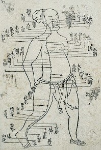 Acupuncture - Stomach channel Acupuncture - Stomach channel