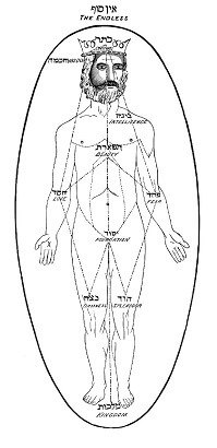Adam Tree with Ten Sefirot Adam Tree with Ten Sefirot