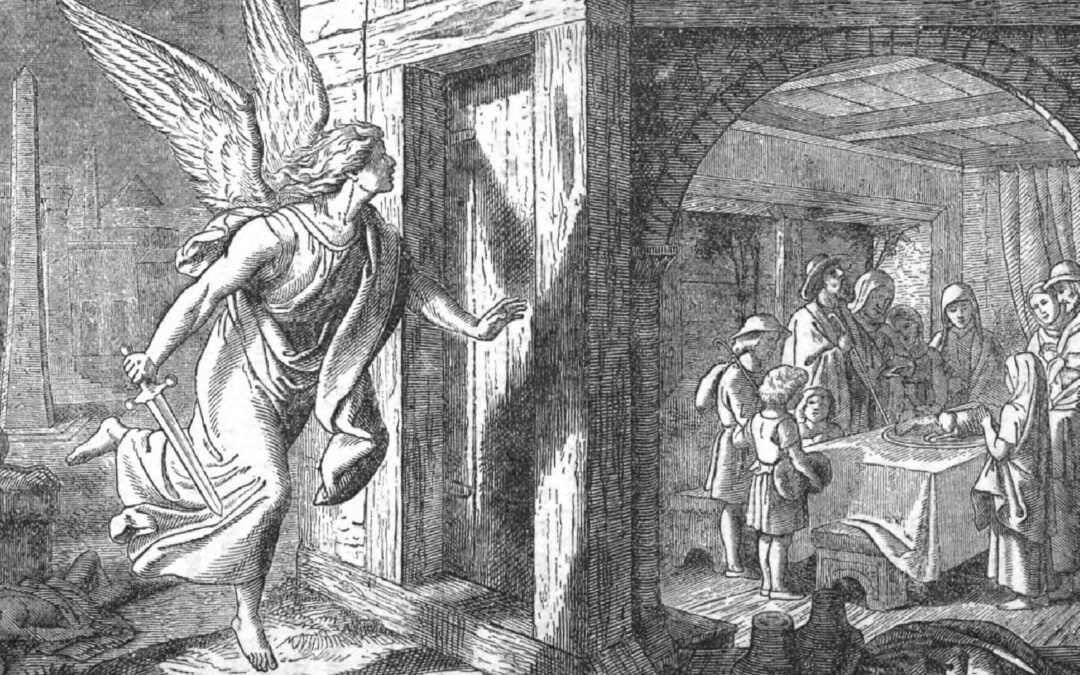 A Few Words on Prophecies