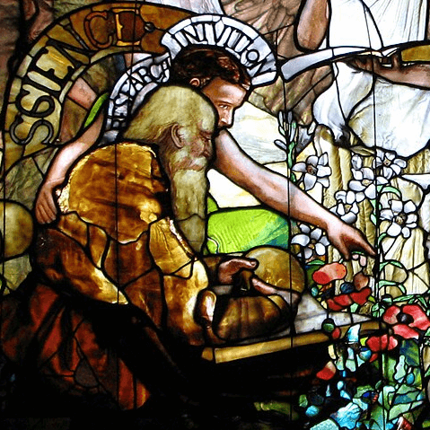 Science and Intuition